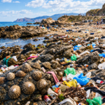 impacto ambiental Ceuta